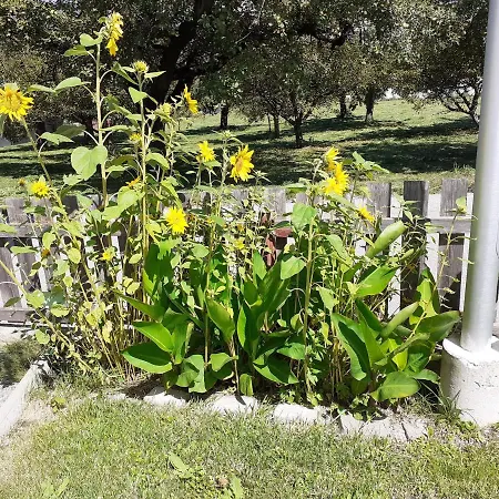 別荘 Beim Lener インスブルック