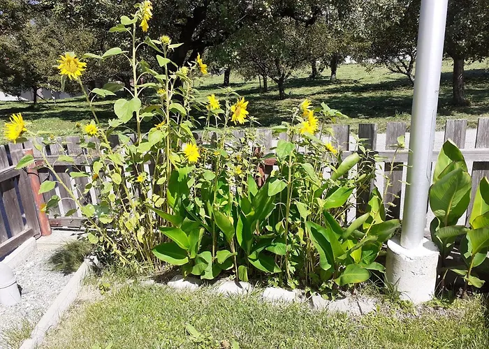 Сasa de vacaciones Beim Lener Innsbruck